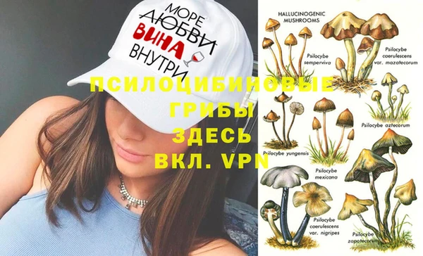ALPHA PVP Алексеевка