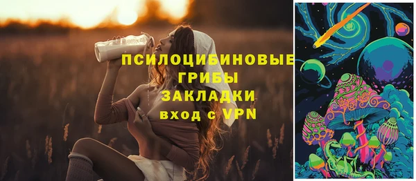 дмт Алзамай