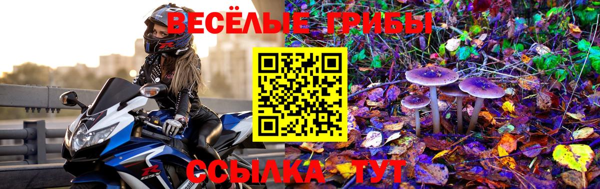 Галлюциногенные грибы Magic Shrooms Гурьевск